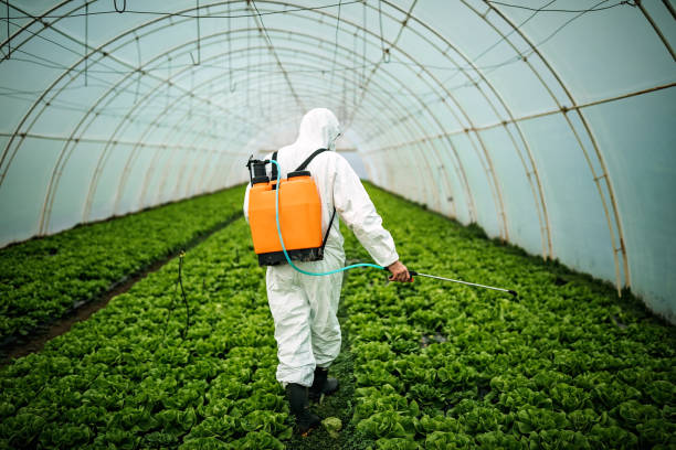 Best Best Pest Control Companies  in Sunnyside Tahoe City, CA