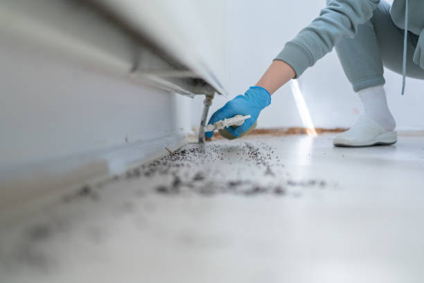 Best Ant Control Services  in Sunnyside Tahoe City, CA